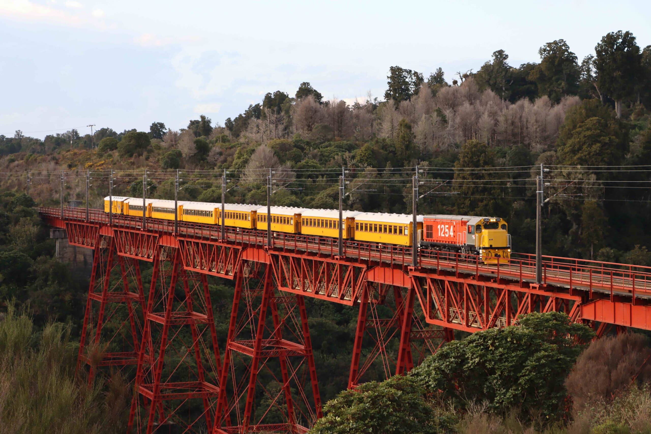 The train crossing the Makatote Viaduct