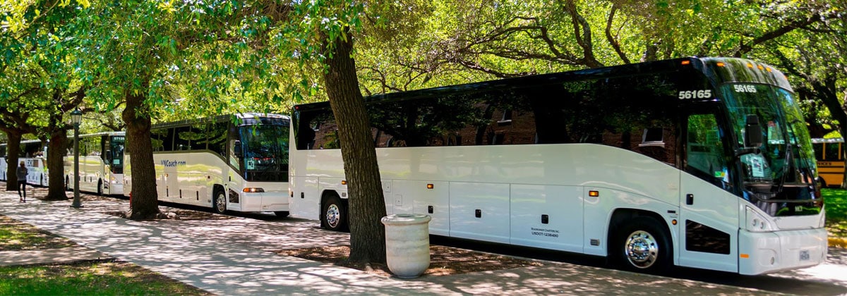 Private Coaches