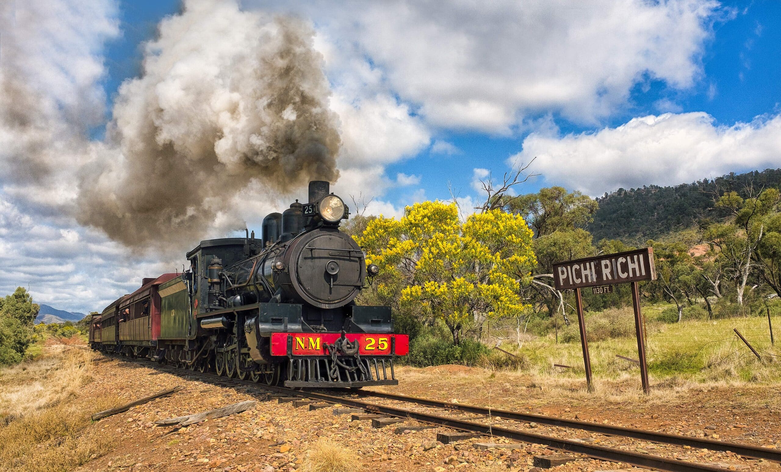 South Australia Steam Safari
