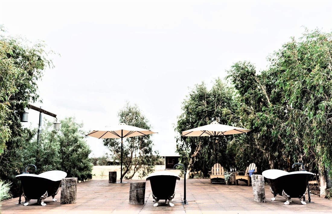 Saltbush Retreat