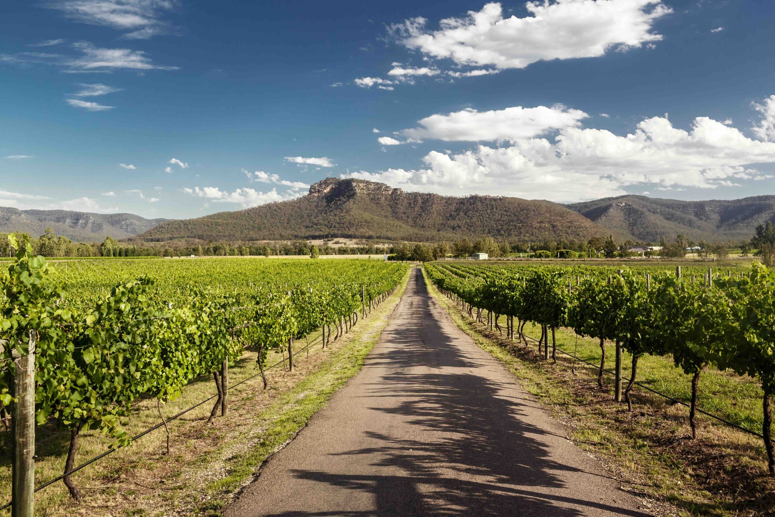 City To Cellar Door – A Short Hunter Valley Break By Local Rail