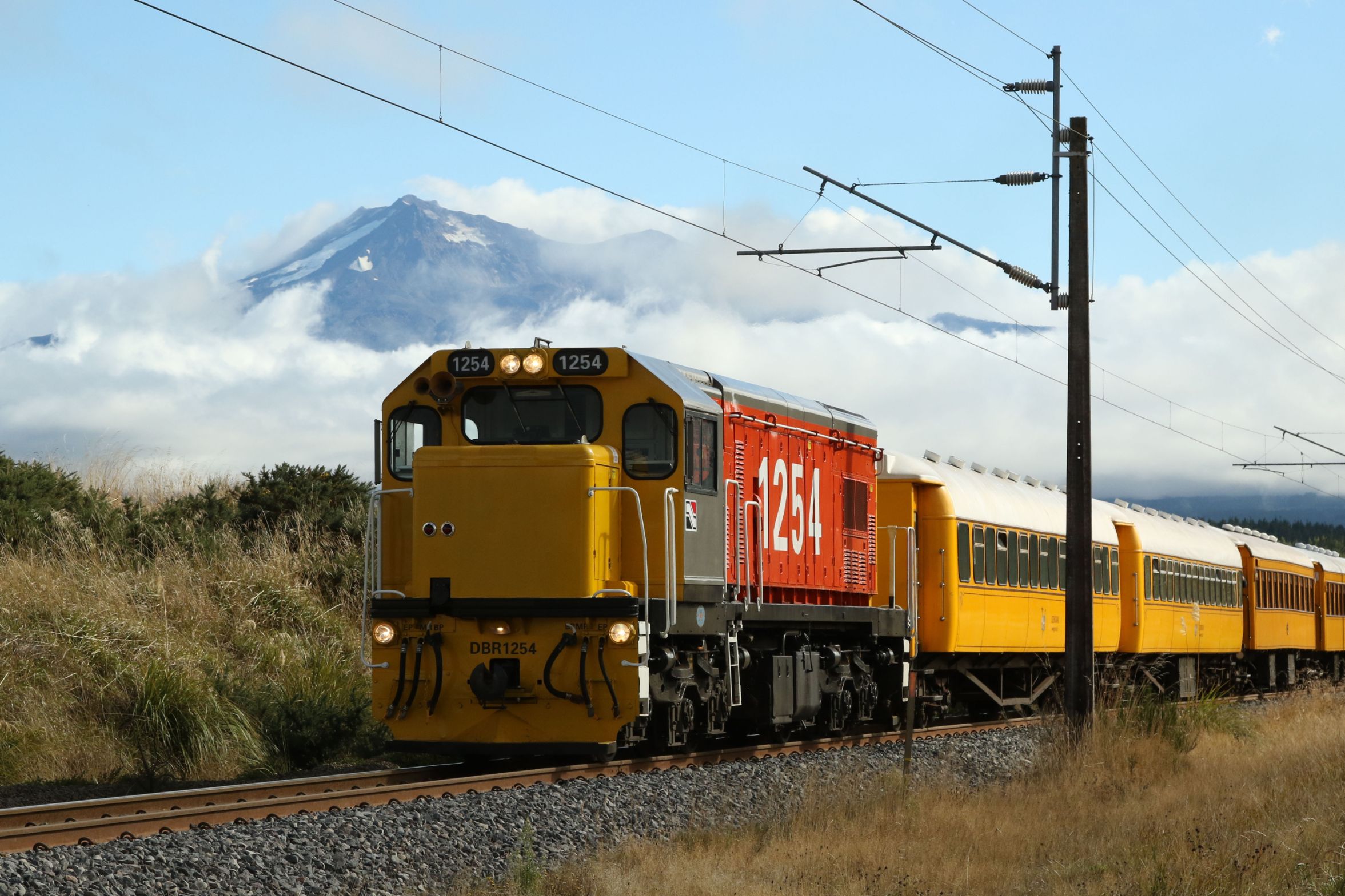 Heritage Diesel Locomotive DBR 1254