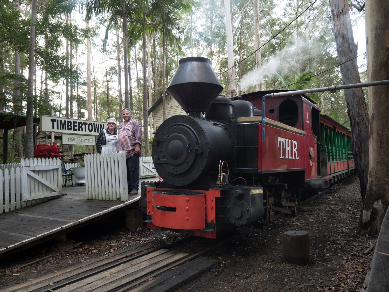 Heritage Steam train