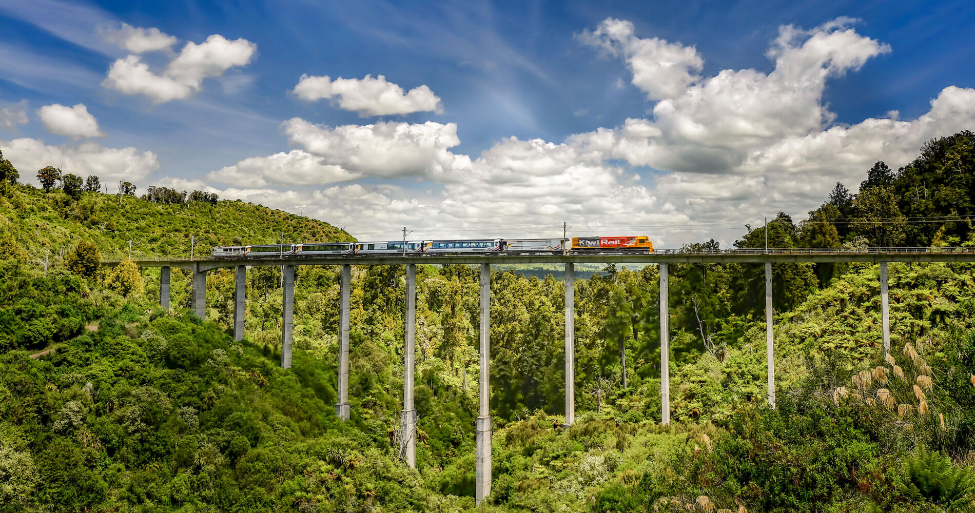 The Northern Explorer