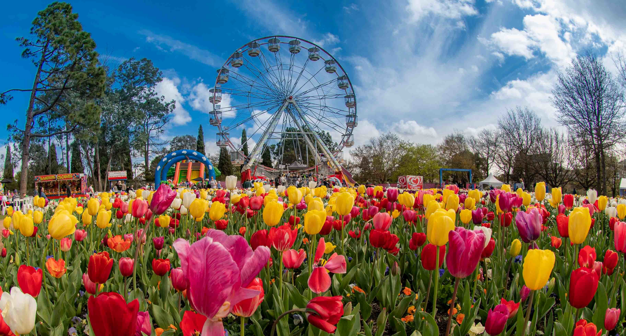 Canberra & the Floriade Festival by Rail