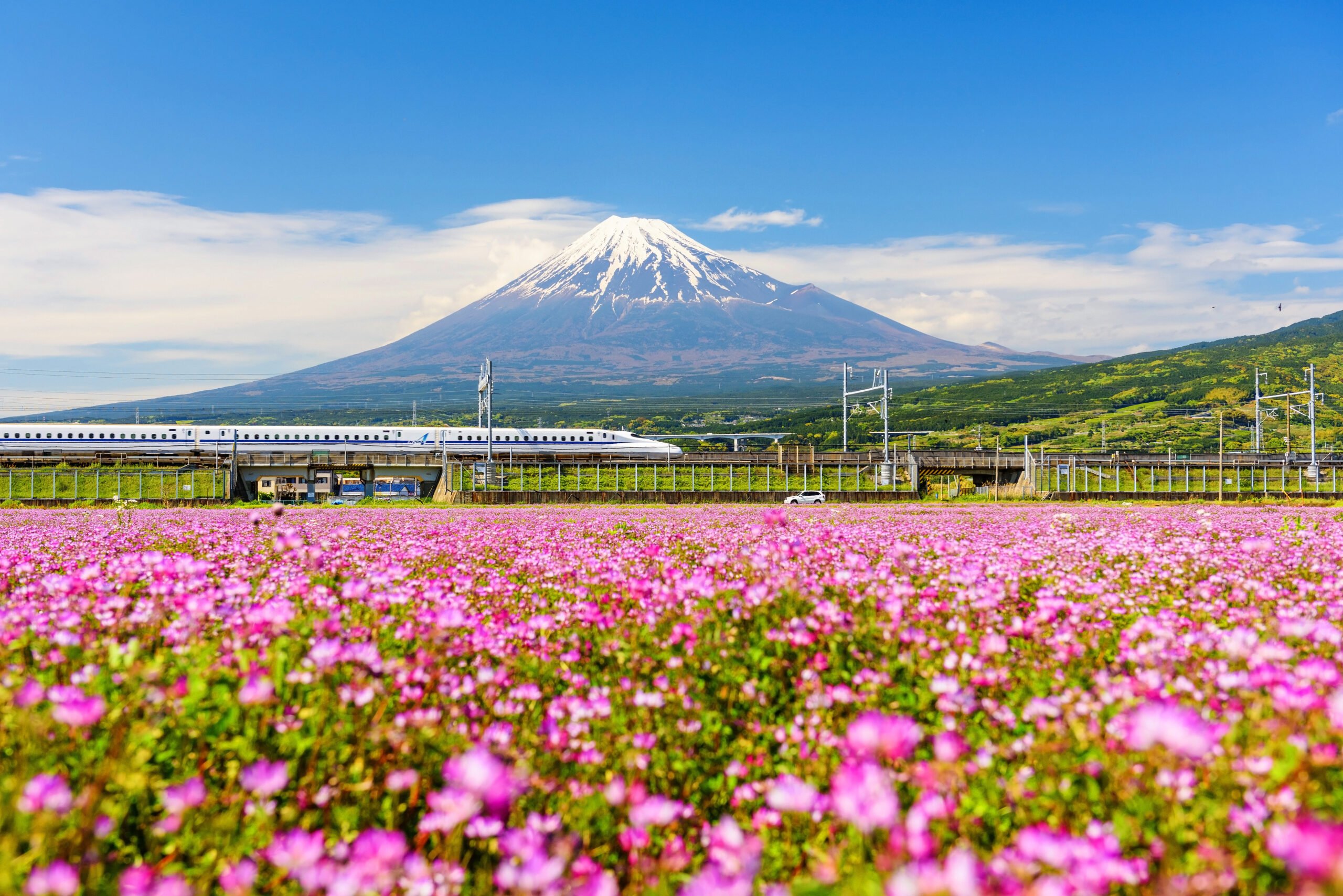 Japan Springtime Spectacular 2027