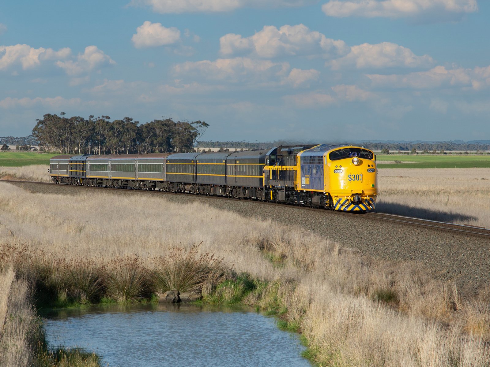 Spirit Of Progress - Heritage diesel hauled train