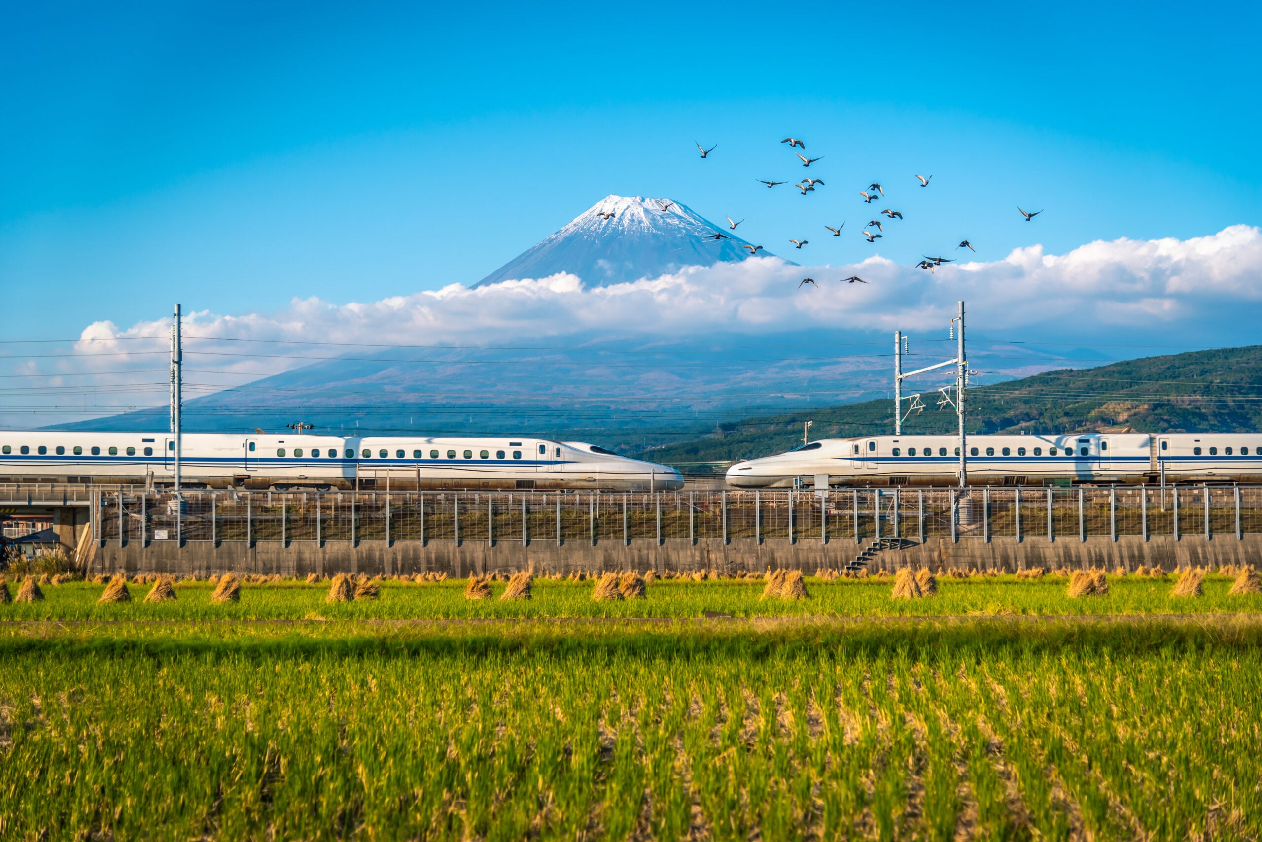 Japan by Rail: Honshu Autumn Colours by Bullet Train