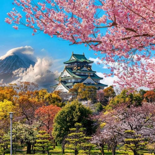 Osaka Castle and full cherry blossom, with Fuji mountain background, Japan