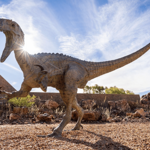 The Australian Age of Dinosaurs