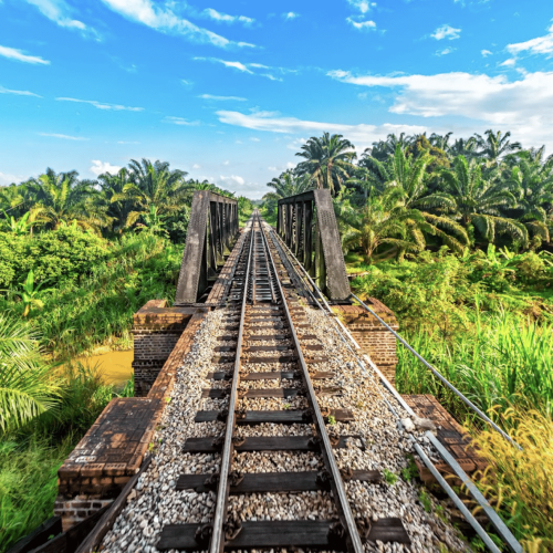 The Malaysia Jungle Railway